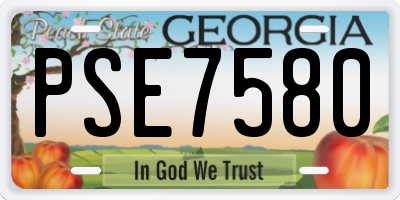 GA license plate PSE7580