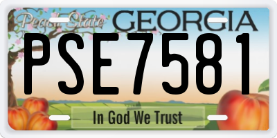 GA license plate PSE7581
