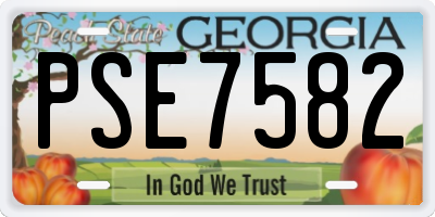 GA license plate PSE7582