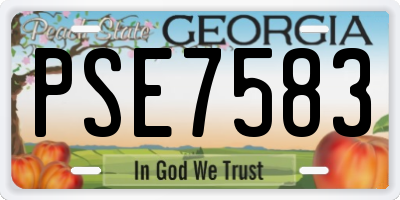 GA license plate PSE7583