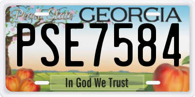 GA license plate PSE7584