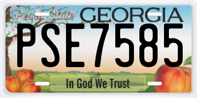 GA license plate PSE7585