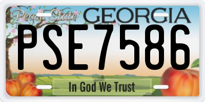 GA license plate PSE7586