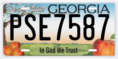 GA license plate PSE7587
