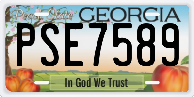 GA license plate PSE7589