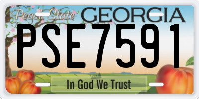 GA license plate PSE7591