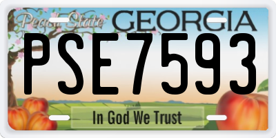 GA license plate PSE7593
