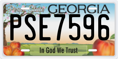 GA license plate PSE7596