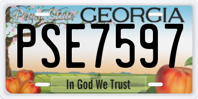 GA license plate PSE7597