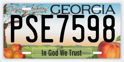 GA license plate PSE7598