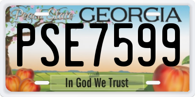 GA license plate PSE7599