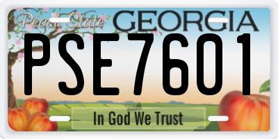 GA license plate PSE7601