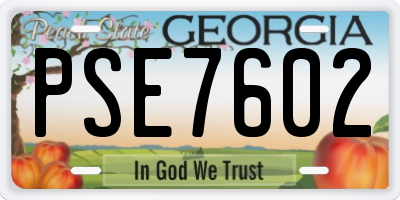 GA license plate PSE7602