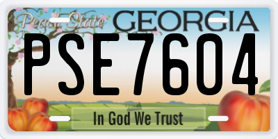 GA license plate PSE7604