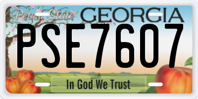 GA license plate PSE7607