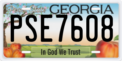 GA license plate PSE7608