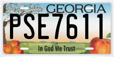 GA license plate PSE7611