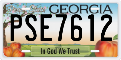 GA license plate PSE7612