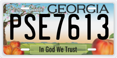 GA license plate PSE7613