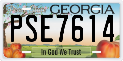 GA license plate PSE7614