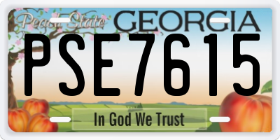 GA license plate PSE7615