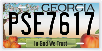 GA license plate PSE7617