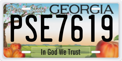 GA license plate PSE7619
