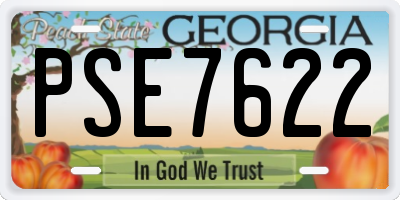 GA license plate PSE7622