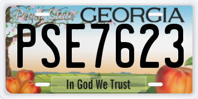 GA license plate PSE7623