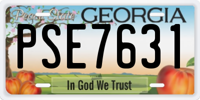 GA license plate PSE7631