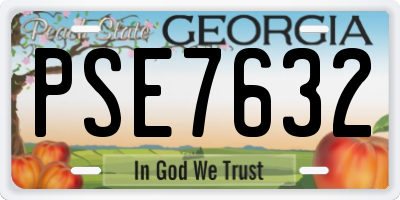 GA license plate PSE7632