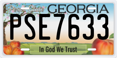 GA license plate PSE7633