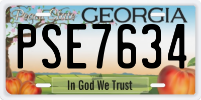 GA license plate PSE7634