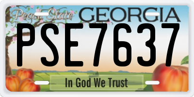 GA license plate PSE7637