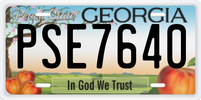 GA license plate PSE7640