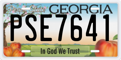GA license plate PSE7641