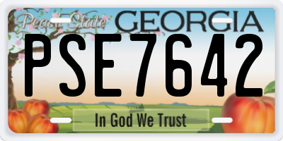 GA license plate PSE7642