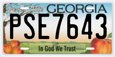 GA license plate PSE7643