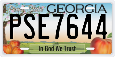 GA license plate PSE7644