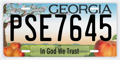 GA license plate PSE7645