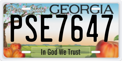 GA license plate PSE7647