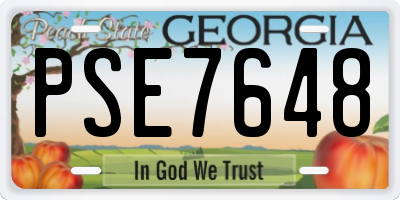 GA license plate PSE7648