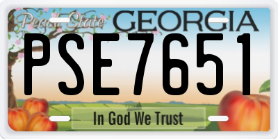 GA license plate PSE7651