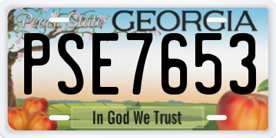 GA license plate PSE7653