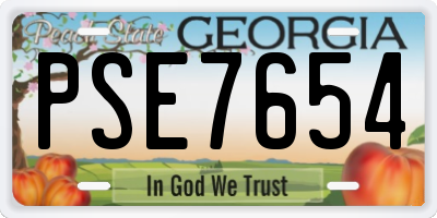 GA license plate PSE7654