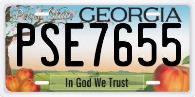 GA license plate PSE7655
