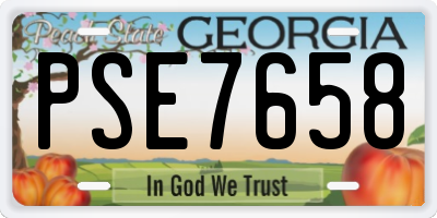 GA license plate PSE7658