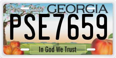 GA license plate PSE7659