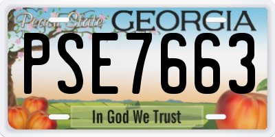 GA license plate PSE7663