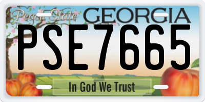 GA license plate PSE7665
